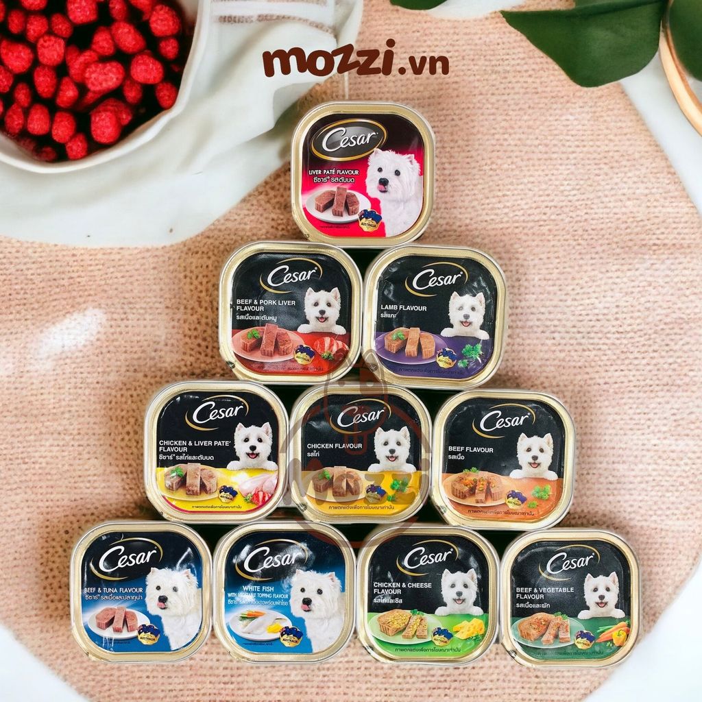 Pate cho chó Cesar Hộp 100gr