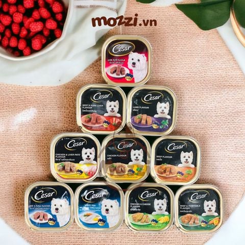  Pate cho chó Cesar Hộp 100gr 