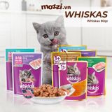  Whiskas Pate gói cho mèo 