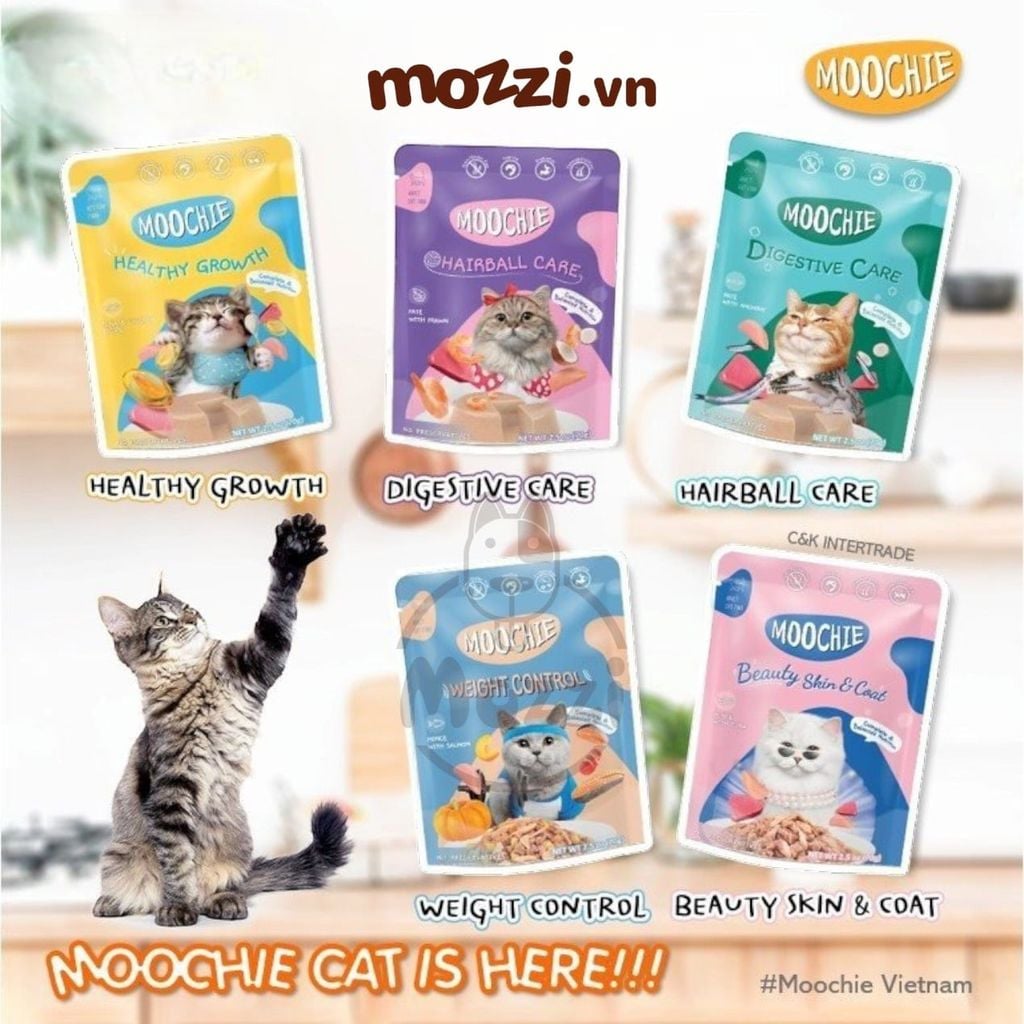 Pate cho mèo Moochie Gói 70gr
