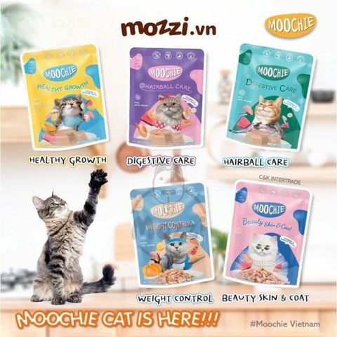  Pate cho mèo Moochie Gói 70gr 