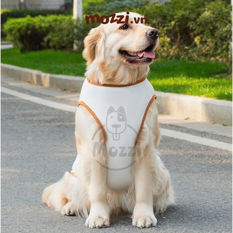 Áo ba lỗ chó lớn getHEAT