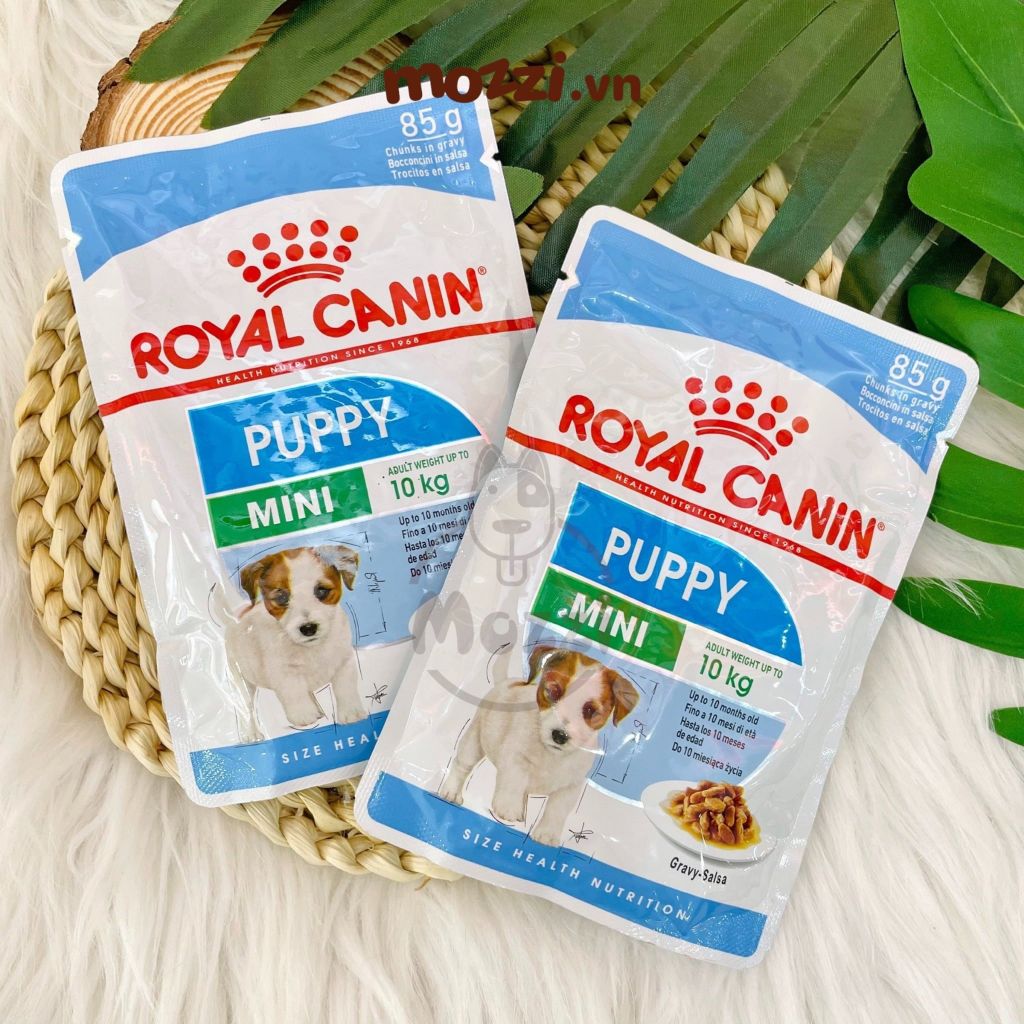 Pate cho chó Royal Canin Mini Puppy Adult Gói 85g