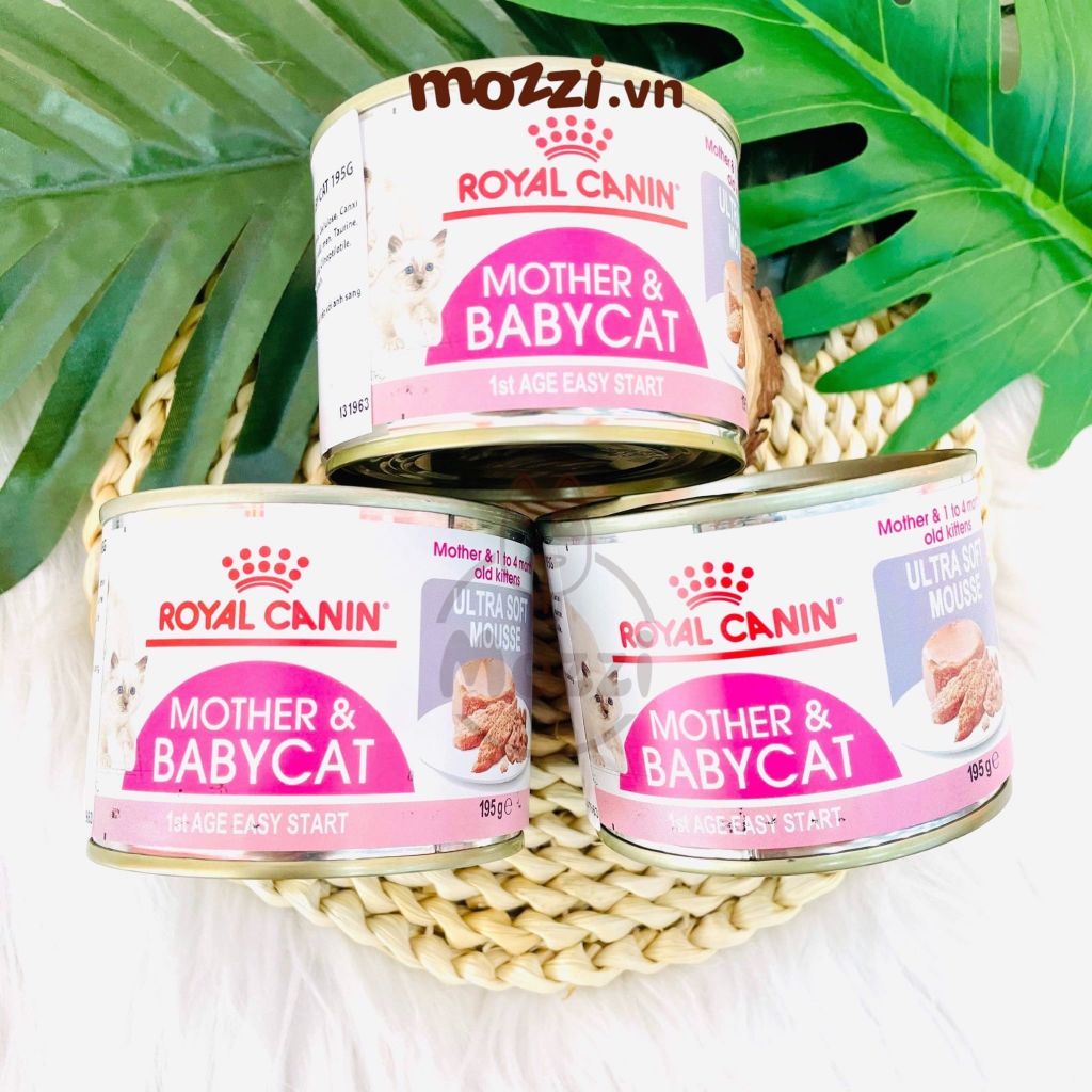 Pate cho mèo Mother & BabyCat Royal Canin Lon 195gr
