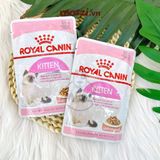  Royal Canin Kitten Pate cho mèo con 