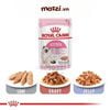 Pate cho mèo con Kitten Royal Canin