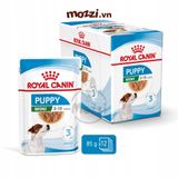  Pate cho chó Royal Canin Mini Puppy Adult Gói 85g 