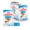Pate cho chó Royal Canin Mini Puppy Adult Gói 85g
