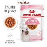  Pate cho mèo con Kitten Royal Canin 
