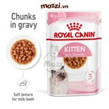  Royal Canin Kitten Pate cho mèo con 