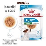 Pate cho chó Royal Canin Mini Puppy Adult Gói 85g 