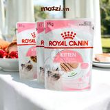  Pate cho mèo con Kitten Royal Canin 
