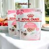 Pate cho mèo con Kitten Royal Canin