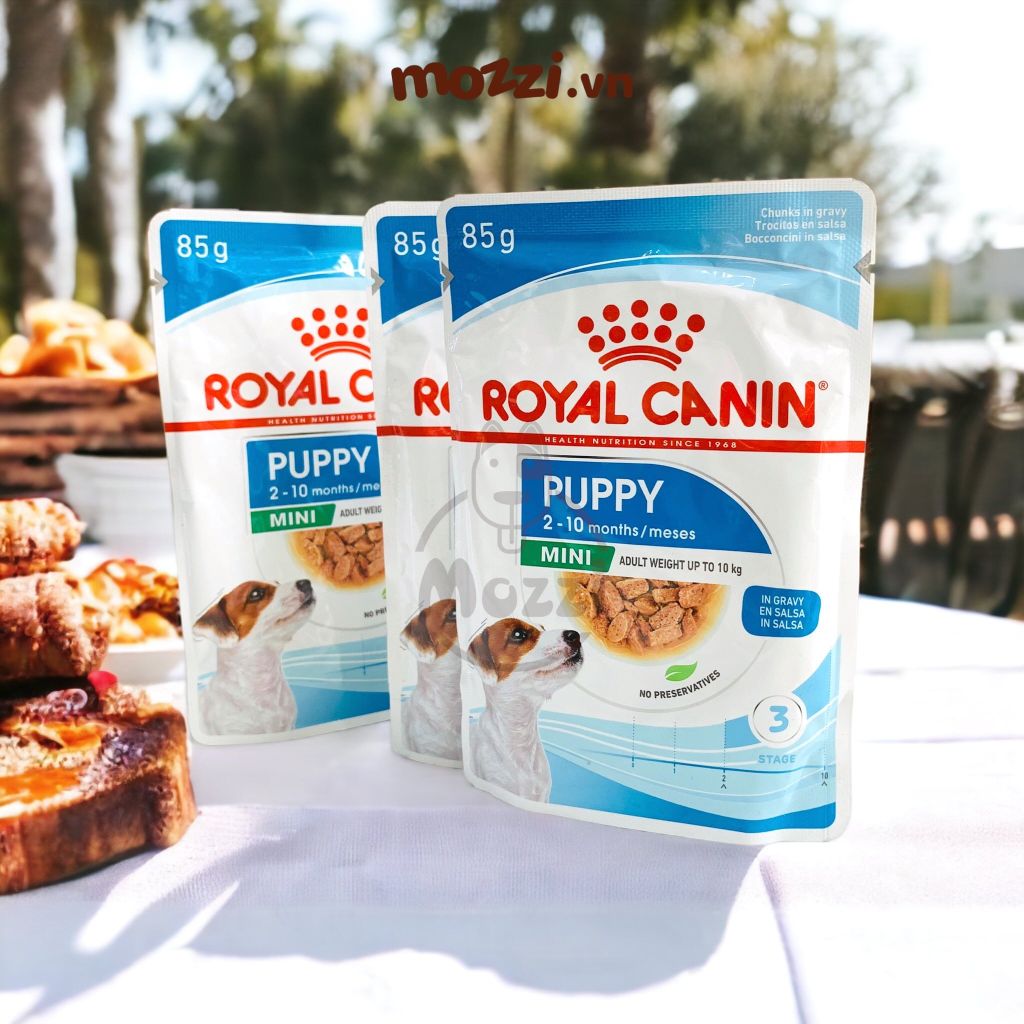 Pate cho chó Royal Canin Mini Puppy Adult Gói 85g