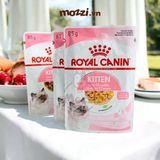  Royal Canin Kitten Pate cho mèo con 