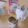 Pate cho mèo con Nekko Kitten Gói 70gr