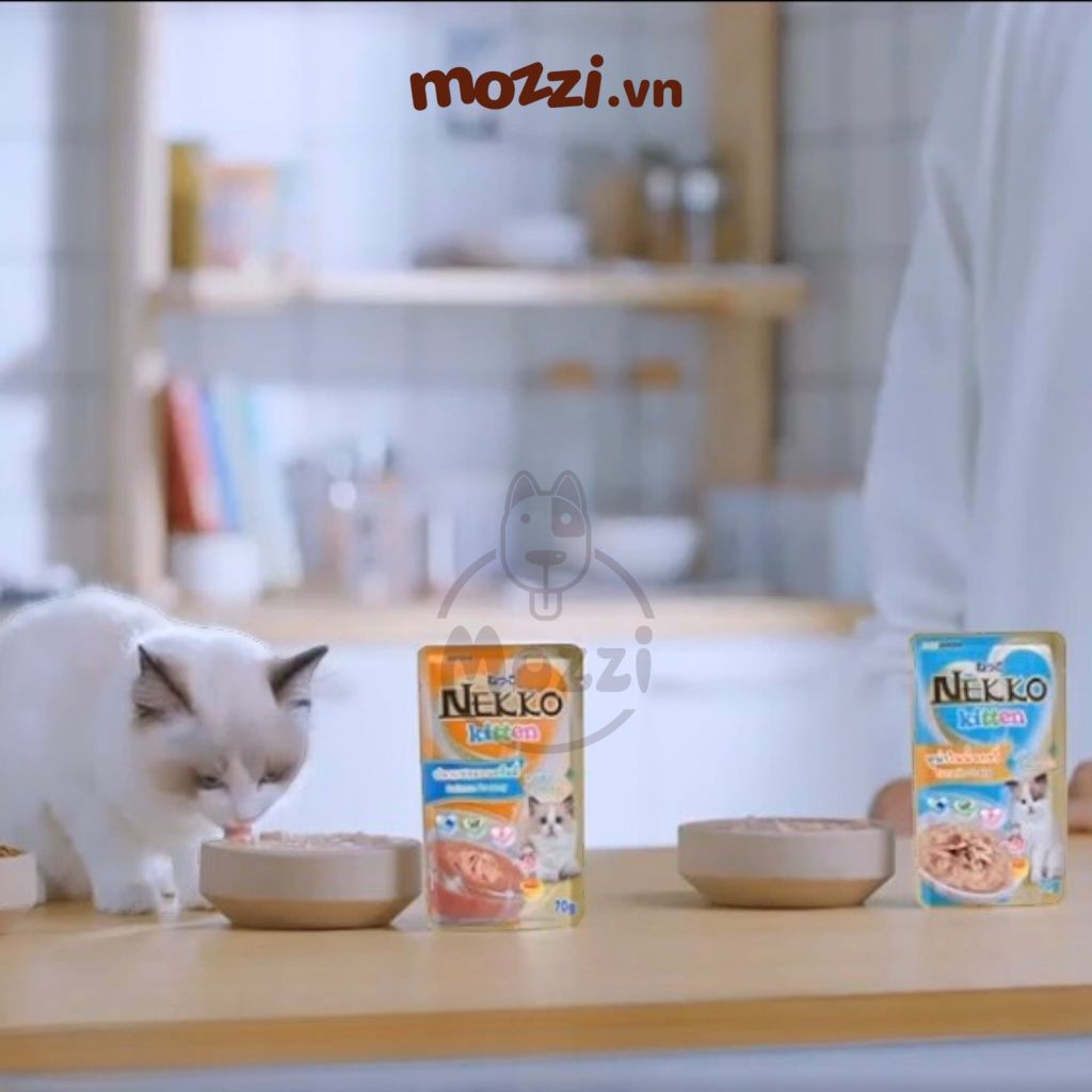 Pate cho mèo con Nekko Kitten Gói 70gr