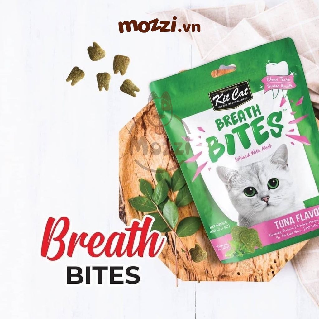 Snack cho mèo Sạch răng thơm miệng Breath Bites KitCat gói 60gr