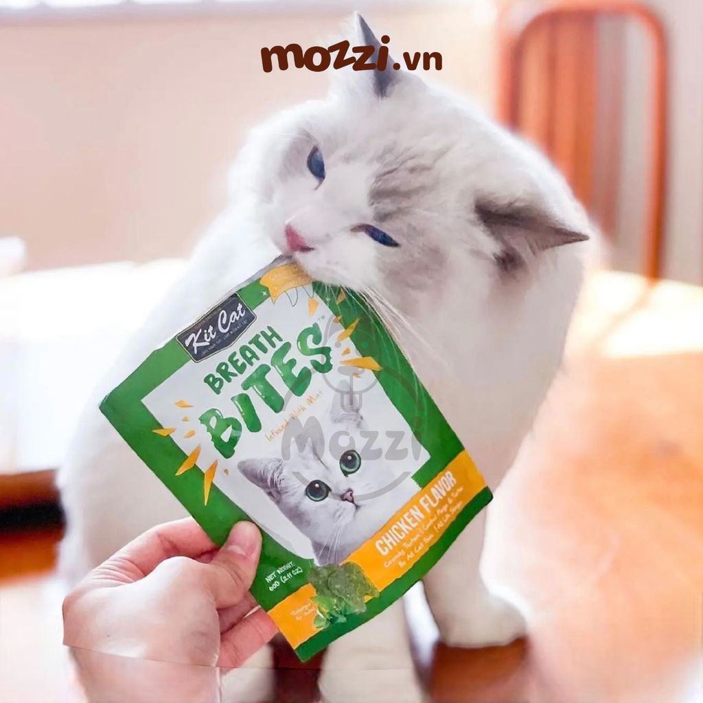 Snack cho mèo Sạch răng thơm miệng Breath Bites KitCat gói 60gr