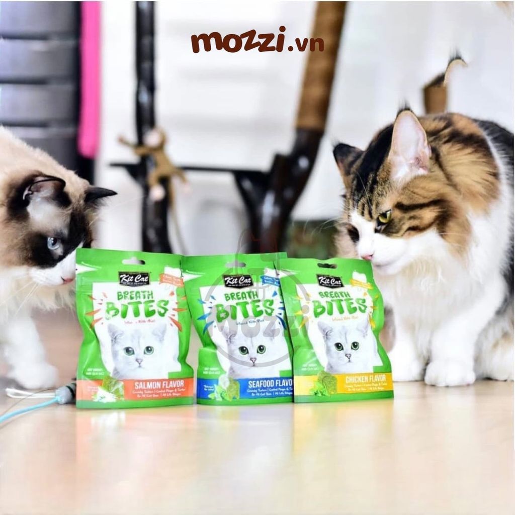 Snack cho mèo Sạch răng thơm miệng Breath Bites KitCat gói 60gr