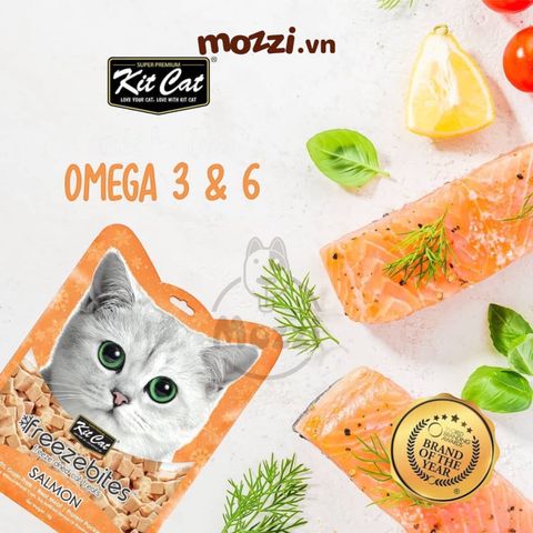  Snack cho mèo Thịt sấy khô Freezebites KitCat gói 20gr 