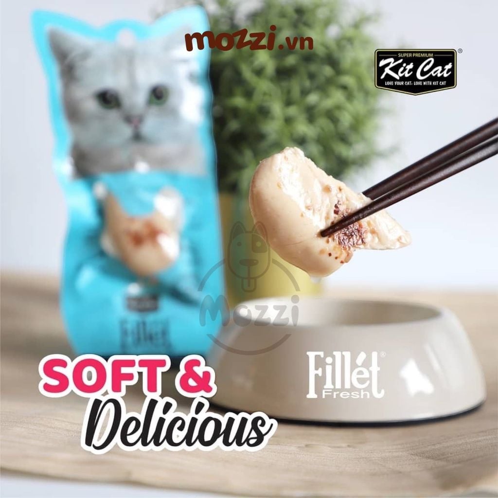 Snack cho mèo Thịt tươi phi lê Fillet KitCat gói 30gr