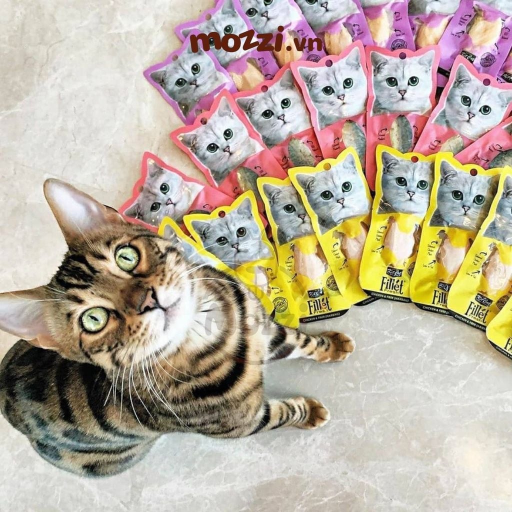 Snack cho mèo Thịt tươi phi lê Fillet KitCat gói 30gr