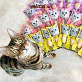  KitCat Fillet Thịt tươi phi lê cho mèo 