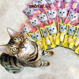  Snack cho mèo Thịt tươi phi lê Fillet KitCat gói 30gr 