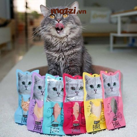  Snack cho mèo Thịt tươi phi lê Fillet KitCat gói 30gr 