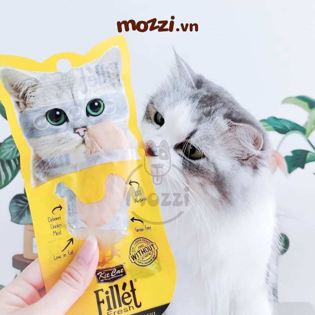 Snack cho mèo Thịt tươi phi lê Fillet KitCat gói 30gr