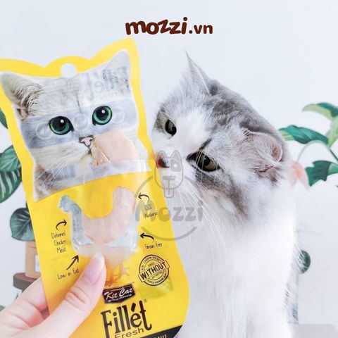  Snack cho mèo Thịt tươi phi lê Fillet KitCat gói 30gr 