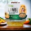 Snack cho chó Thịt hầm rau củ Super Food Stew Jerhigh hộp 200gr