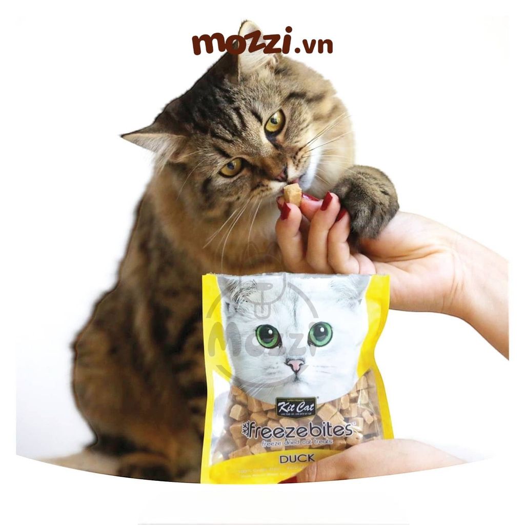 Snack cho mèo Thịt sấy khô Freezebites KitCat gói 20gr