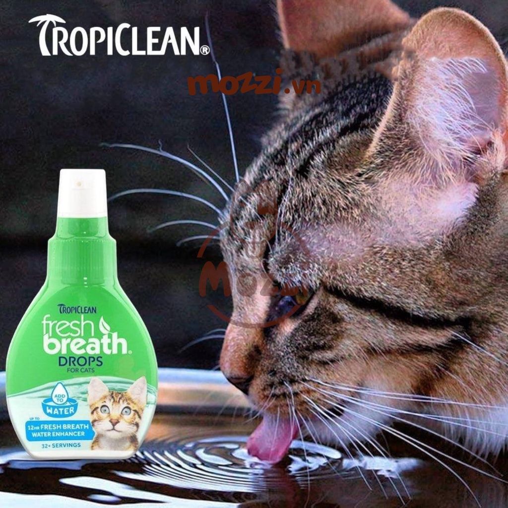 Dung dịch chăm sóc răng miệng đậm đặc Tropiclean Fresh Breaths Drops pha nước uống Chai 65ml cho chó mèo