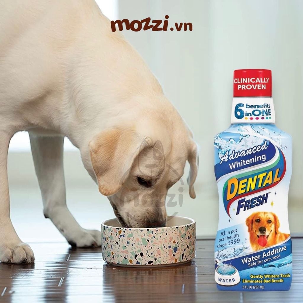 Dung dịch pha uống hết hôi miệng mảng bám trắng răng cho chó mèo Dental Fresh - Made in USA