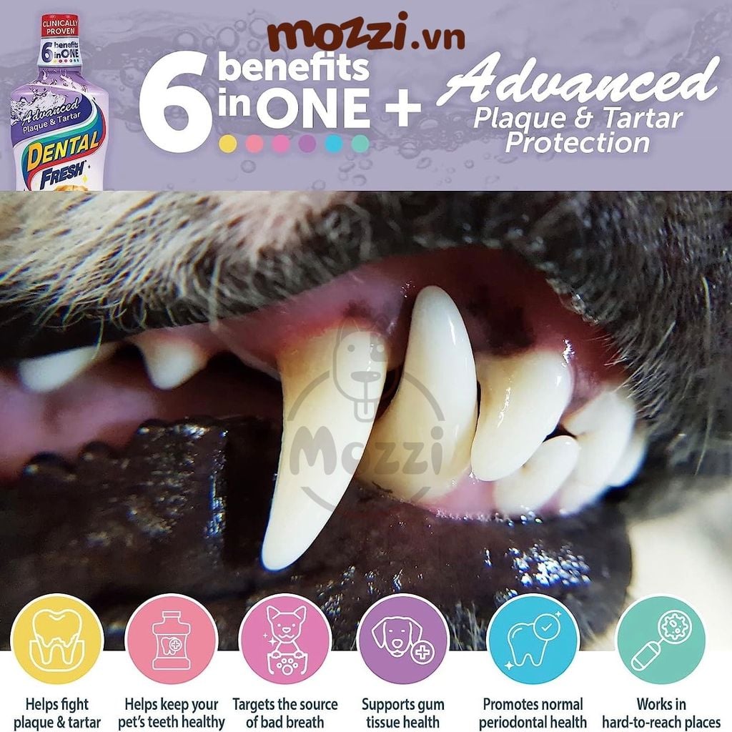Dung dịch pha uống hết hôi miệng mảng bám trắng răng cho chó mèo Dental Fresh - Made in USA