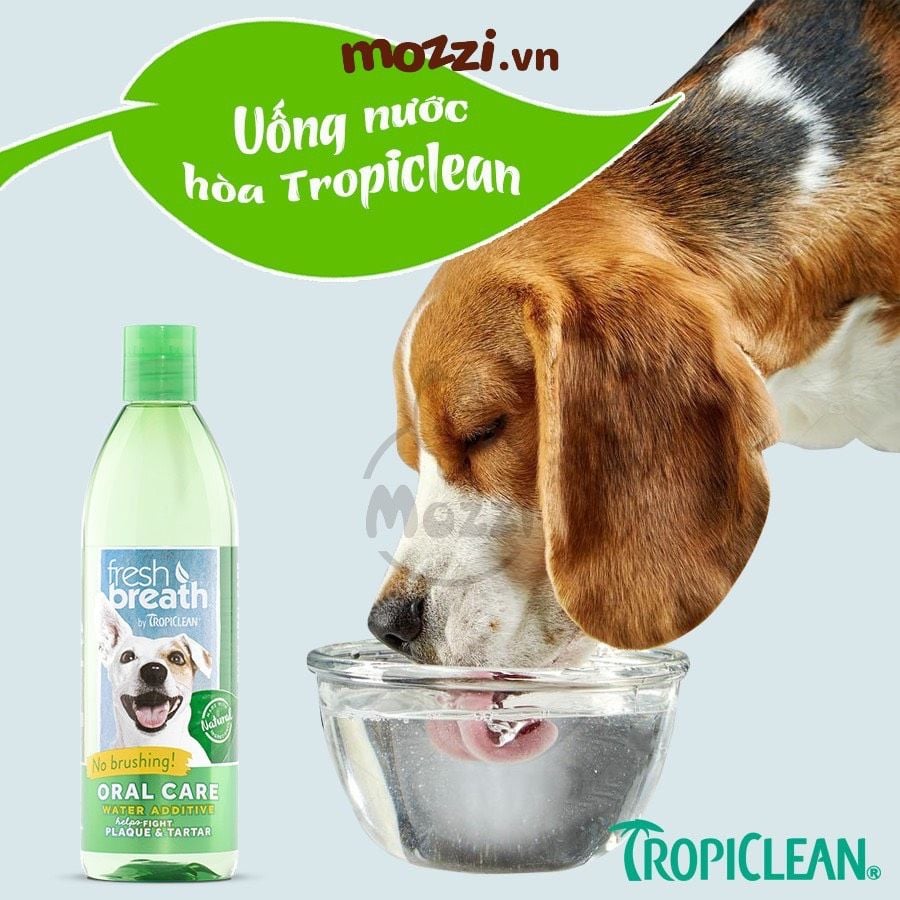 Nước vệ sinh răng miệng Tropiclean Fresh Breath pha uống Chai 473ml cho chó mèo