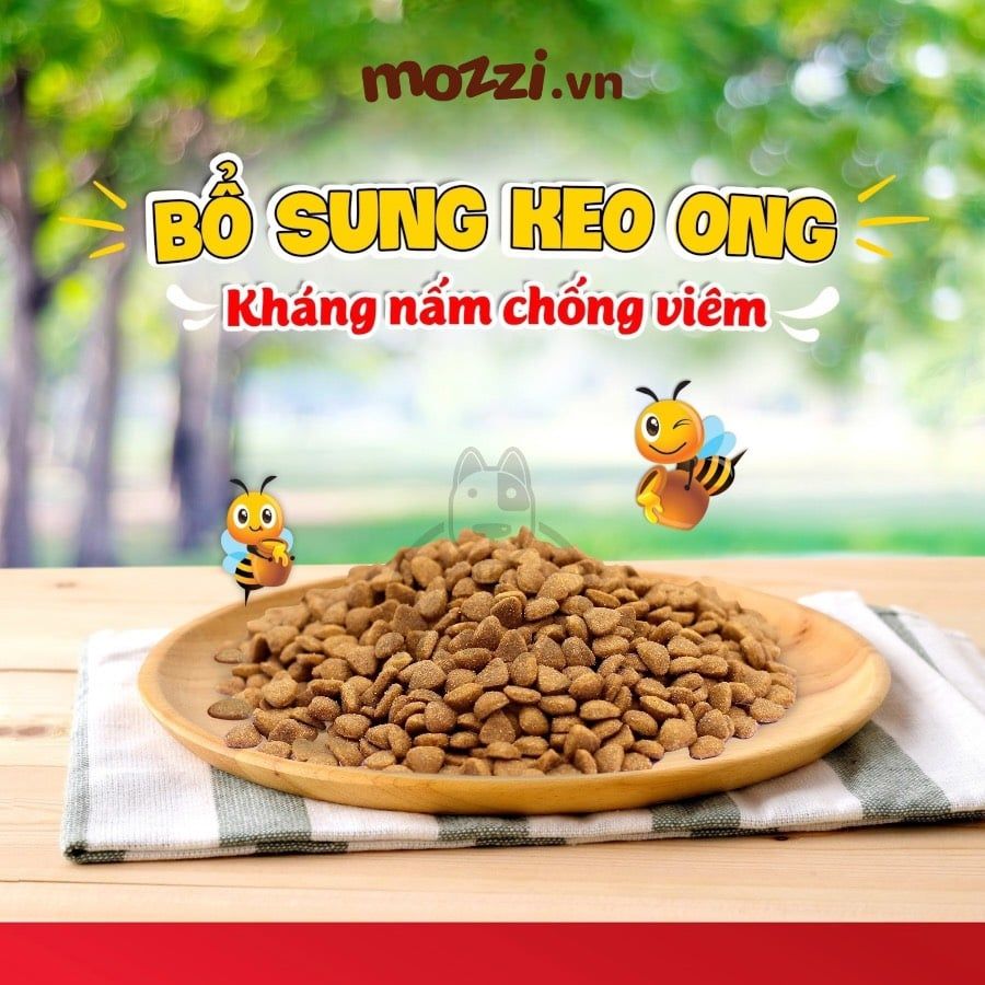 Thức ăn hạt Today's Dinner cho chó mèo