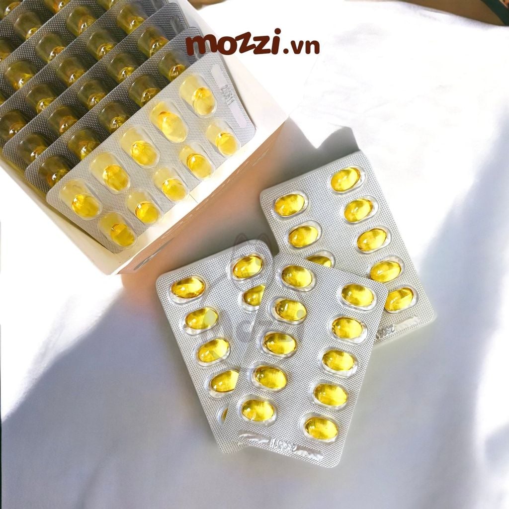 Viên dầu cá dưỡng da lông Omega3 Fish Oil cho chó mèo Hộp 10 vỉ