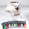 Snack cho chó Gặm sạch răng Dental Chew Absolute thanh 25gr