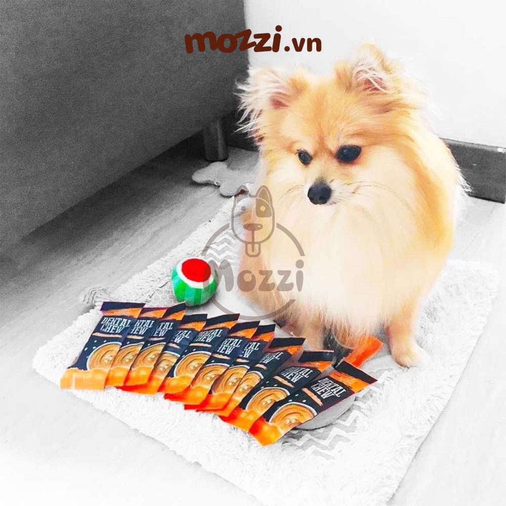 Snack cho chó Gặm sạch răng Dental Chew Absolute thanh 25gr