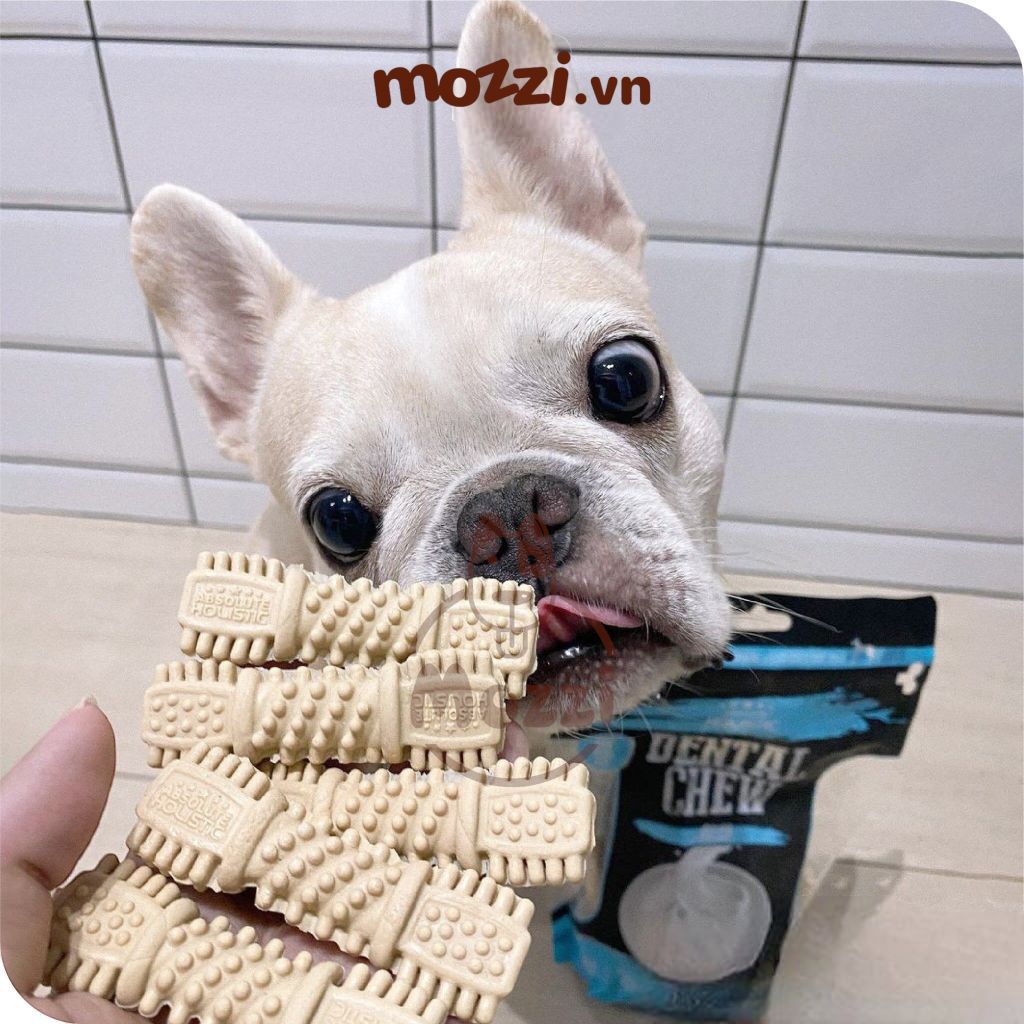 Snack cho chó Gặm sạch răng Dental Chew Absolute thanh 25gr