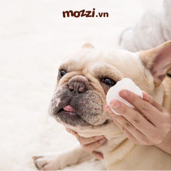 Khăn ướt lau sạch mắt nha đam Hipi Hộp 130 miếng cho chó mèo