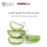  Hipi Khăn ướt lau sạch mắt cho chó mèo 