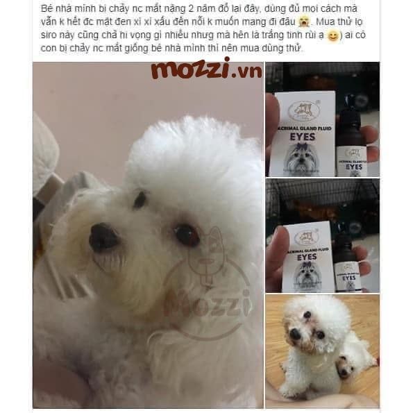 Khăn ướt lau sạch mắt nha đam Hipi Hộp 130 miếng cho chó mèo