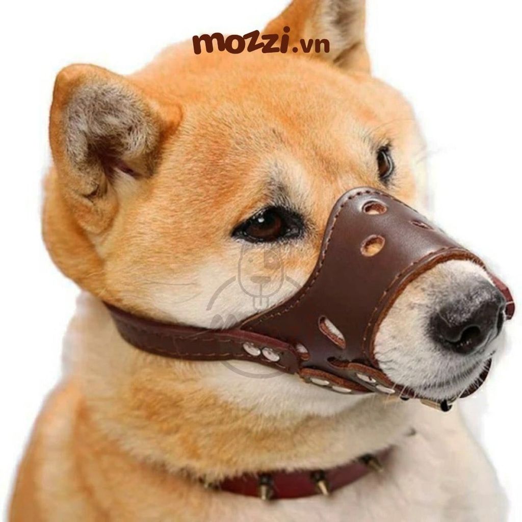 Rọ mõm da mềm có đai nới cho chó