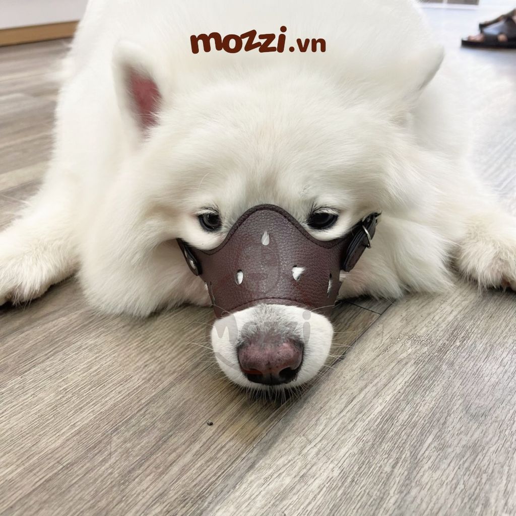 Rọ mõm da mềm có đai nới cho chó