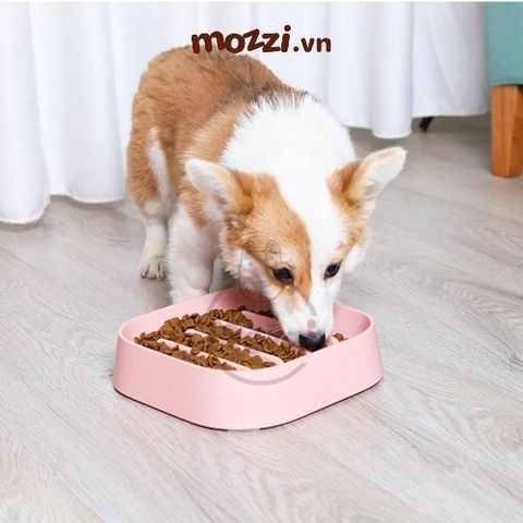  Chén ăn chống sặc hình vuông cho chó mèo 