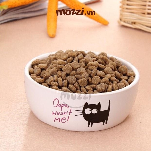 Elite chén sứ hình mèo Oops